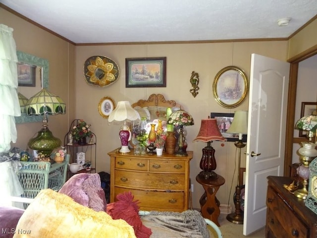 1389 Middle Fork Rd, Millstone, WV 25261 - bedroom featuring ornamental molding