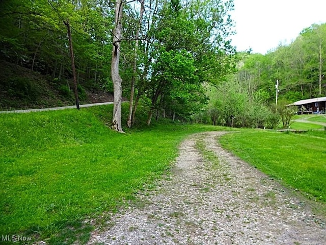 1389 Middle Fork Rd, Millstone, WV 25261 - view of dirt / gravel road with a view of trees