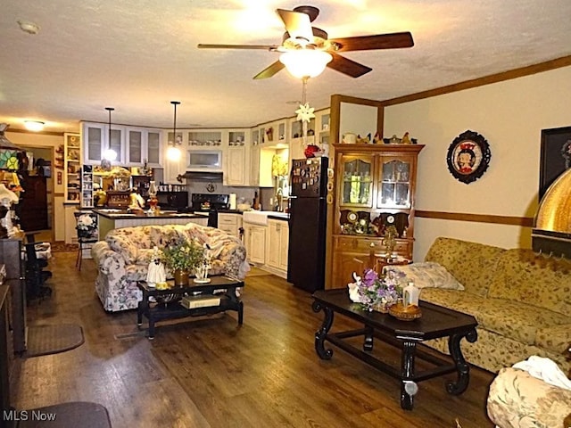 1389 Middle Fork Rd, Millstone, WV 25261 - living room featuring ceiling fan, dark wood finished floors, and ornamental molding