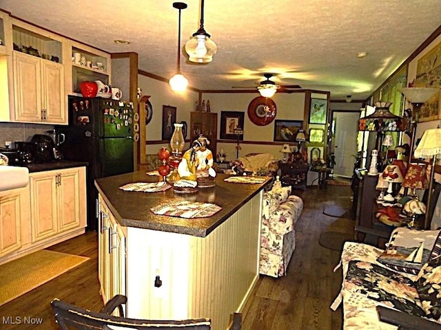 1389 Middle Fork Rd, Millstone, WV 25261 - kitchen with a ceiling fan, dark wood-style floors, dark countertops, a textured ceiling, and freestanding refrigerator