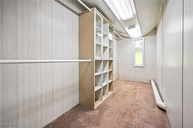 1130 Dairy Ln, East Liverpool, OH 43920 - walk in closet with carpet flooring