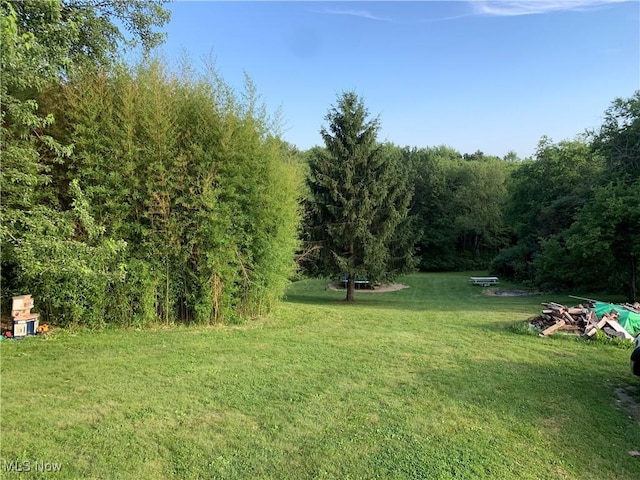 1926 Village St SE, Canton, OH 44707 - photo 24