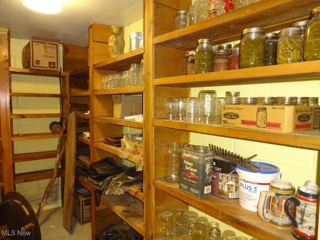 8710 Clay Rd, Left Hand, WV 25251 - view of storage area