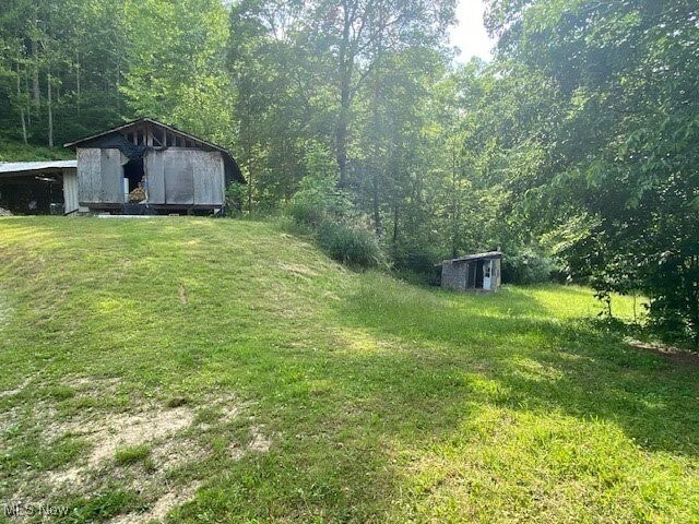 8710 Clay Rd, Left Hand, WV 25251 - view of green lawn with a storage shed and a view of trees