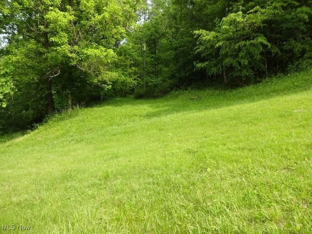 8710 Clay Rd, Left Hand, WV 25251 - view of grassy yard