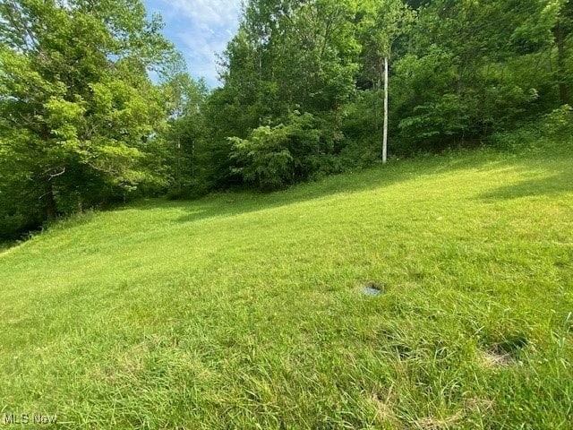 8710 Clay Rd, Left Hand, WV 25251 - view of green lawn