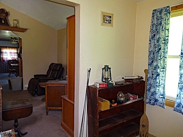8710 Clay Rd, Left Hand, WV 25251 - home office with plenty of natural light, a ceiling fan, carpet, and vaulted ceiling