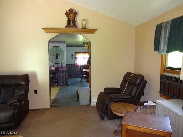 8710 Clay Rd, Left Hand, WV 25251 - living area with carpet flooring, plenty of natural light, and lofted ceiling
