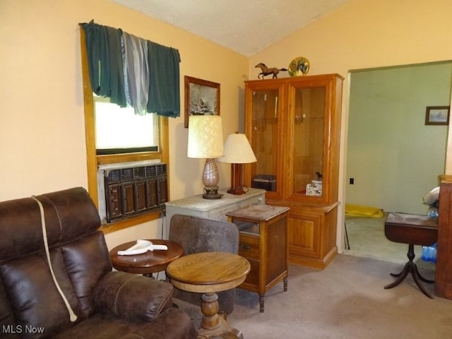 8710 Clay Rd, Left Hand, WV 25251 - living area featuring vaulted ceiling, light carpet, and radiator heating unit