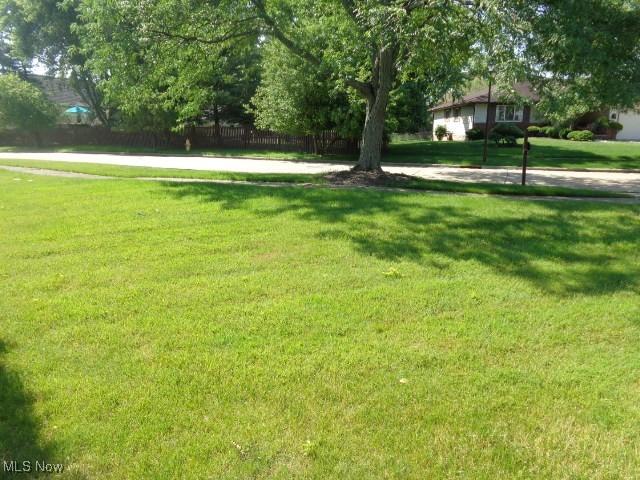 4326 Wood Thrush Dr, Parma, OH 44134 - view of yard