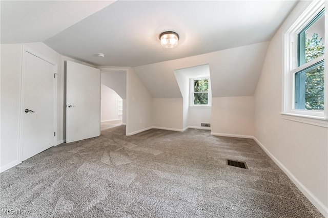 17207 Maple Heights Blvd, Maple Heights, OH 44137 - bonus room featuring carpet flooring and lofted ceiling
