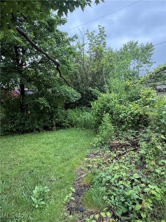 12609 Revere Ave, Cleveland, OH 44105 - photo 20