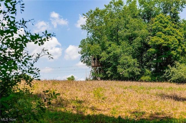 5251 Sugar Grove Rd, Cambridge, OH 43725 - view of nature
