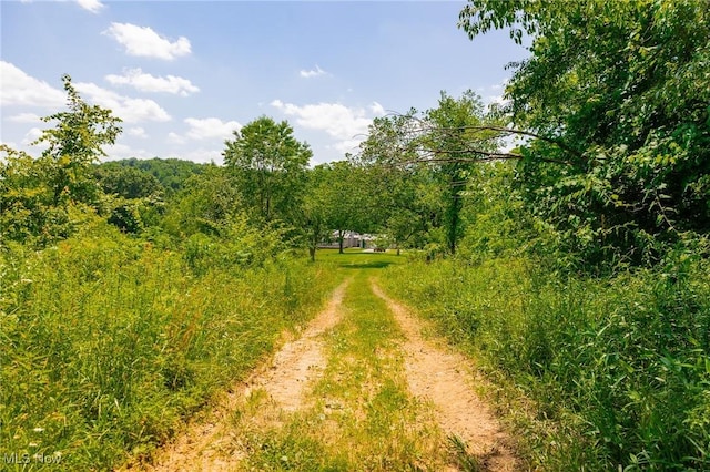5251 Sugar Grove Rd, Cambridge, OH 43725 - view of local wilderness