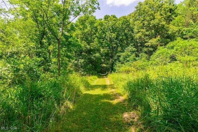 5251 Sugar Grove Rd, Cambridge, OH 43725 - view of local wilderness