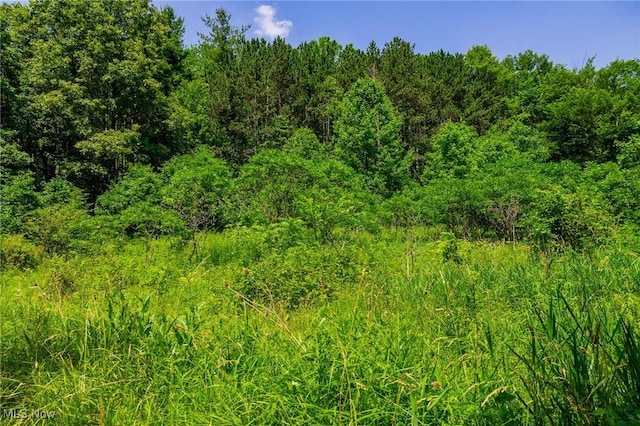 5251 Sugar Grove Rd, Cambridge, OH 43725 - view of wooded area