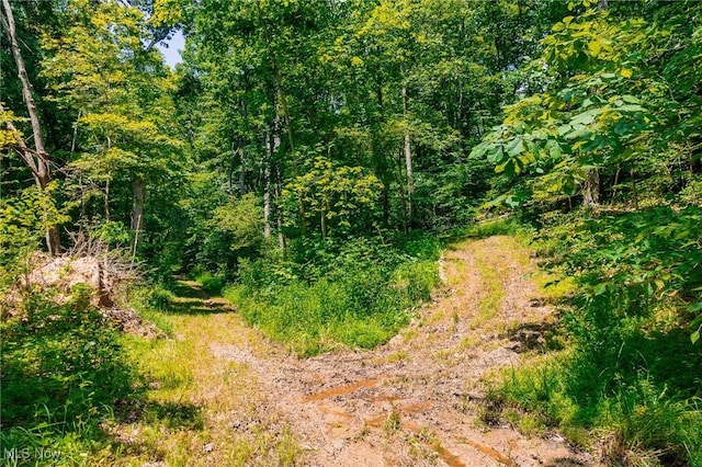 5251 Sugar Grove Rd, Cambridge, OH 43725 - view of wooded area