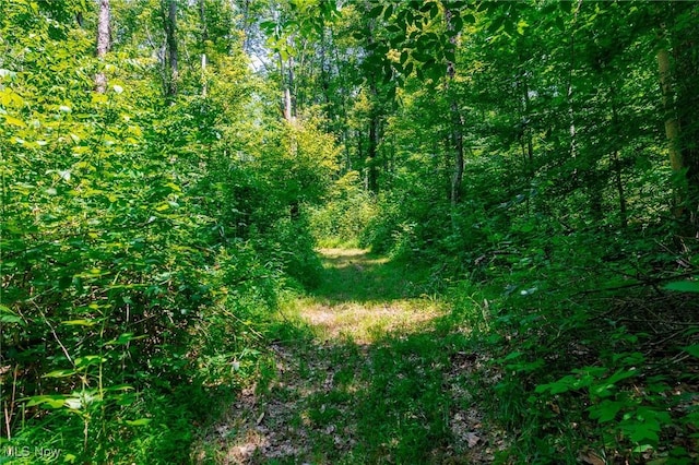 5251 Sugar Grove Rd, Cambridge, OH 43725 - view of nature