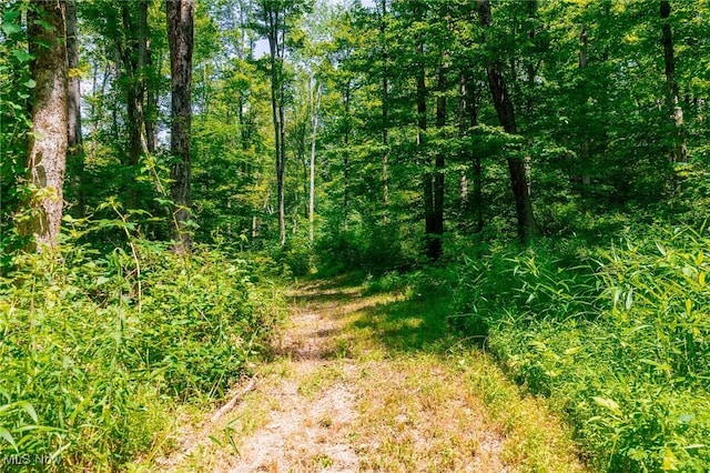 5251 Sugar Grove Rd, Cambridge, OH 43725 - view of nature