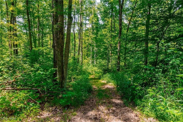5251 Sugar Grove Rd, Cambridge, OH 43725 - view of tree filled area