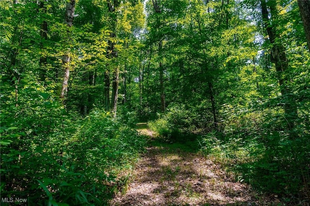5251 Sugar Grove Rd, Cambridge, OH 43725 - view of woods