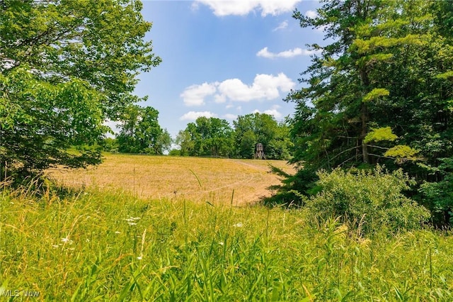 5251 Sugar Grove Rd, Cambridge, OH 43725 - view of local wilderness