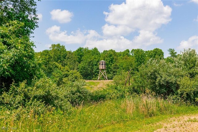 5251 Sugar Grove Rd, Cambridge, OH 43725 - view of nature