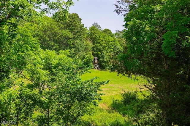 5251 Sugar Grove Rd, Cambridge, OH 43725 - view of woods