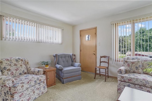 715 E Lincoln Way, Lisbon, OH 44432 - sitting room with plenty of natural light and light carpet