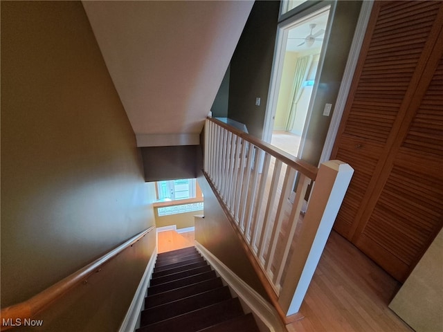12595 Larchmere Blvd Unit E6, Cleveland, OH 44120 - staircase featuring wood finished floors and baseboards