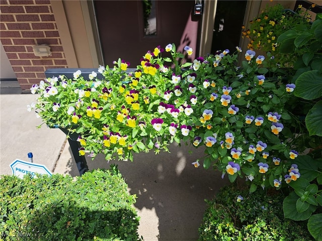 12595 Larchmere Blvd Unit E6, Cleveland, OH 44120 - exterior view of brick siding
