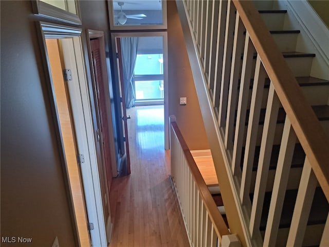 12595 Larchmere Blvd Unit E6, Cleveland, OH 44120 - hallway featuring light wood-style flooring and an upstairs landing