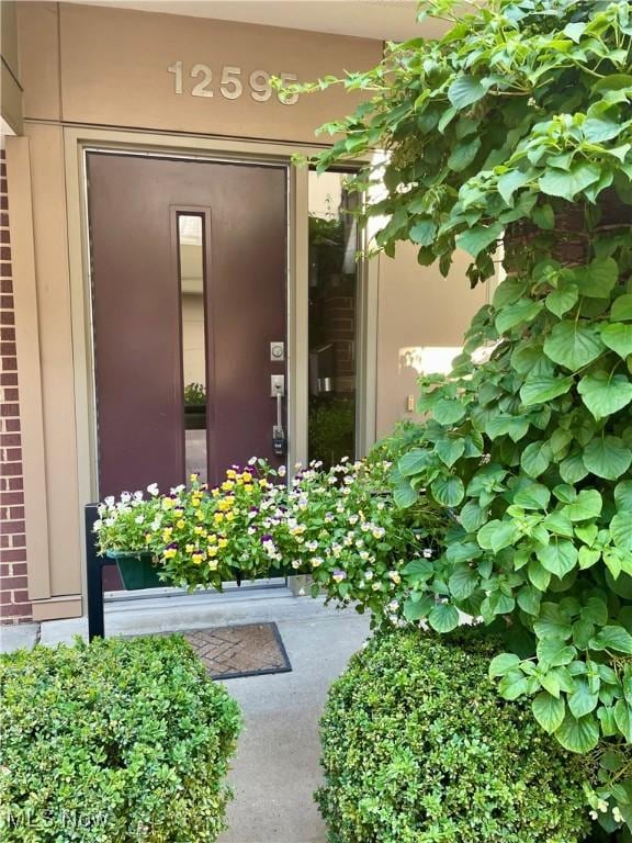 12595 Larchmere Blvd Unit E6, Cleveland, OH 44120 - property entrance
