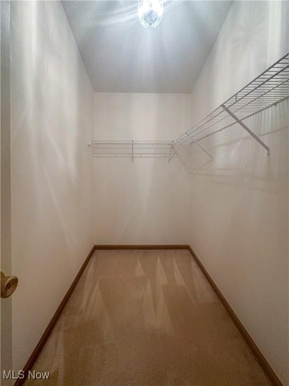 132 Beechwood Dr, Cortland, OH 44410 - walk in closet with carpet flooring
