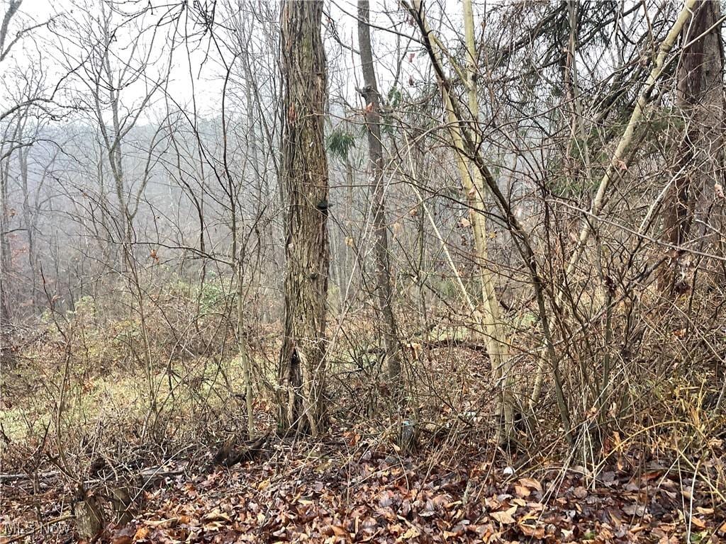 16 Woodcliff Acres, Washington, WV 26181 - photo 1