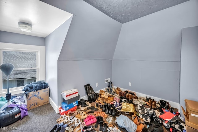 10602 Orville Ave, Cleveland, OH 44106 - bonus room featuring carpet floors, lofted ceiling, and a textured ceiling