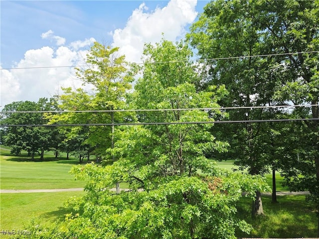 6466 Concord Dr Unit M1, Parma, OH 44134 - view of community with a lawn and view of scattered trees