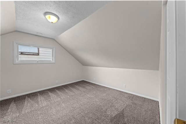 12610 Woodward Blvd, Garfield Heights, OH 44125 - bonus room with vaulted ceiling, carpet flooring, and a textured ceiling
