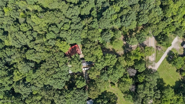 30101 Friendly Ridge Rd, Freeport, OH 43973 - aerial overview of property's location