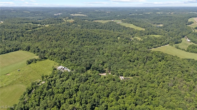 30101 Friendly Ridge Rd, Freeport, OH 43973 - aerial view of property's location featuring a heavily wooded area