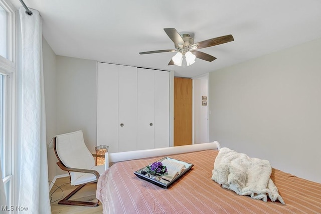 25801 Lake Shore Blvd Unit 28, Euclid, OH 44132 - bedroom with a closet, a ceiling fan, and wood finished floors