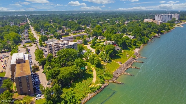 25801 Lake Shore Blvd Unit 28, Euclid, OH 44132 - bird's eye view of a large body of water