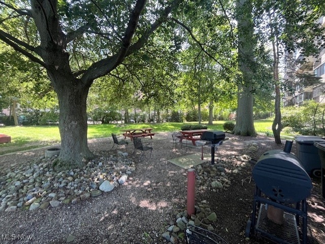 25801 Lake Shore Blvd Unit 28, Euclid, OH 44132 - view of property's community featuring a yard