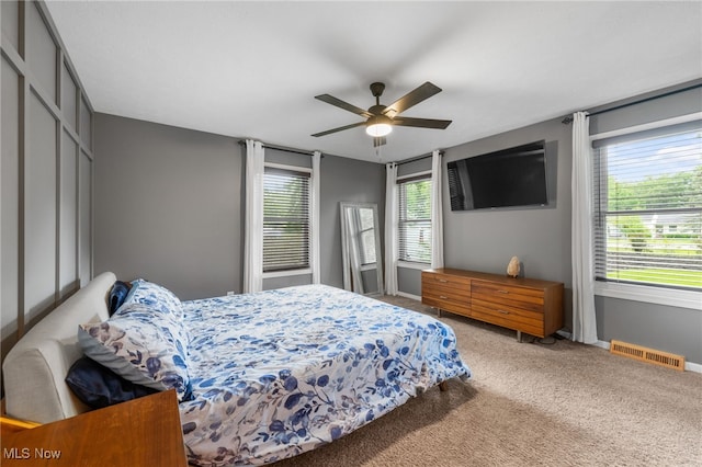 6190 Fitch Rd, North Olmsted, OH 44070 - bedroom with carpet, ceiling fan, and a closet