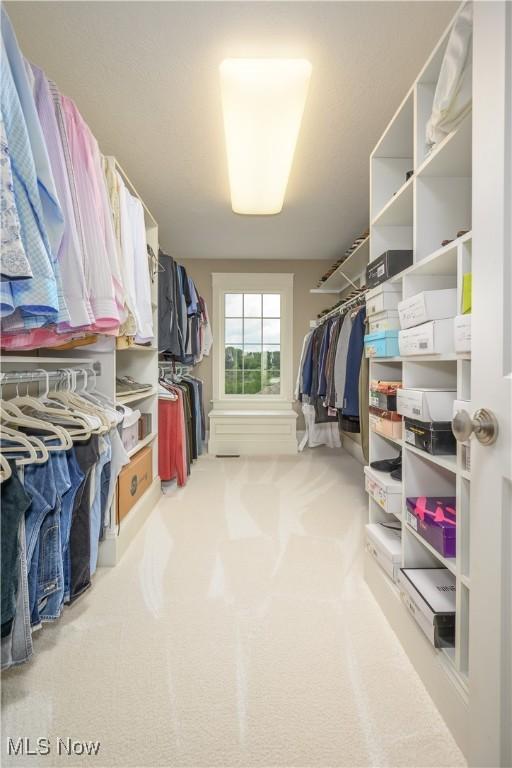 8309 Gentry St NW, Massillon, OH 44646 - spacious closet with carpet flooring