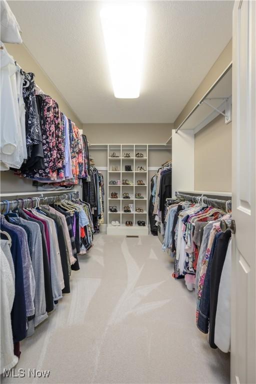 8309 Gentry St NW, Massillon, OH 44646 - walk in closet with carpet