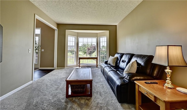 2720 Pinegate Dr, Norton, OH 44203 - living room with carpet flooring and a textured ceiling
