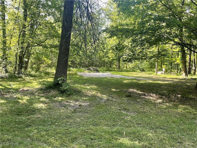 5450 King Graves Rd, Vienna, OH 44473 - view of grassy yard with a wooded view