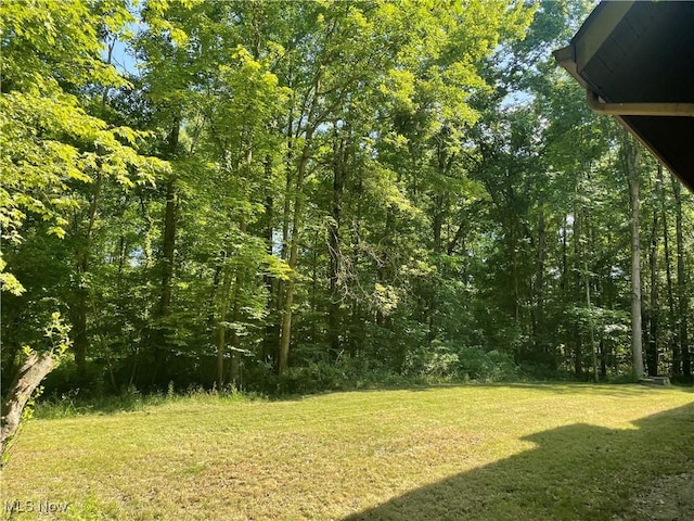 5450 King Graves Rd, Vienna, OH 44473 - view of green lawn with a wooded view