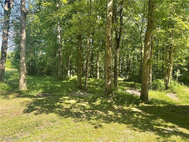 5450 King Graves Rd, Vienna, OH 44473 - view of local wilderness